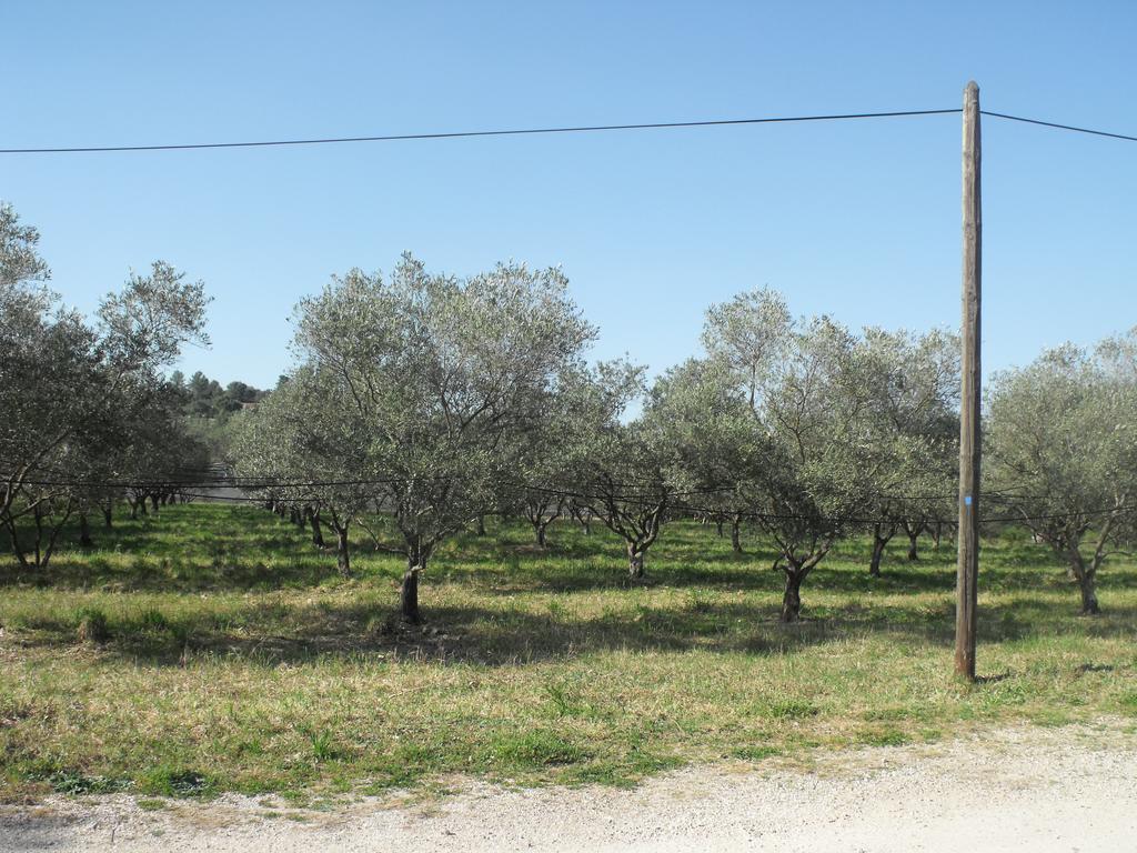 Domaine De La Marseillaise Lägenhet La Crau Rum bild