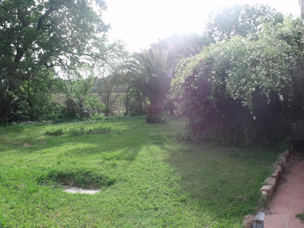 Domaine De La Marseillaise Lägenhet La Crau Rum bild